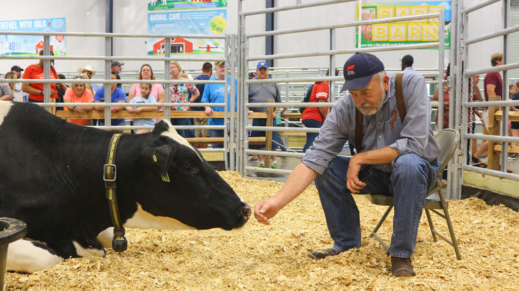 Agricultural and State Fairs in Grown Agritourism