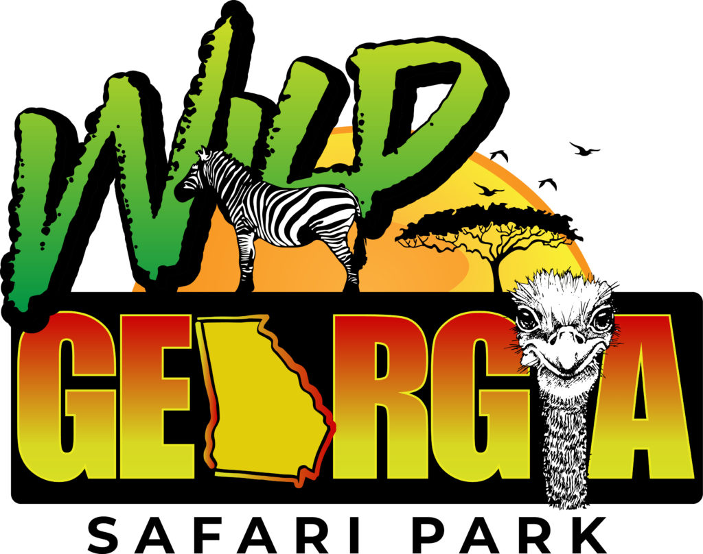 wild georgia safari park about