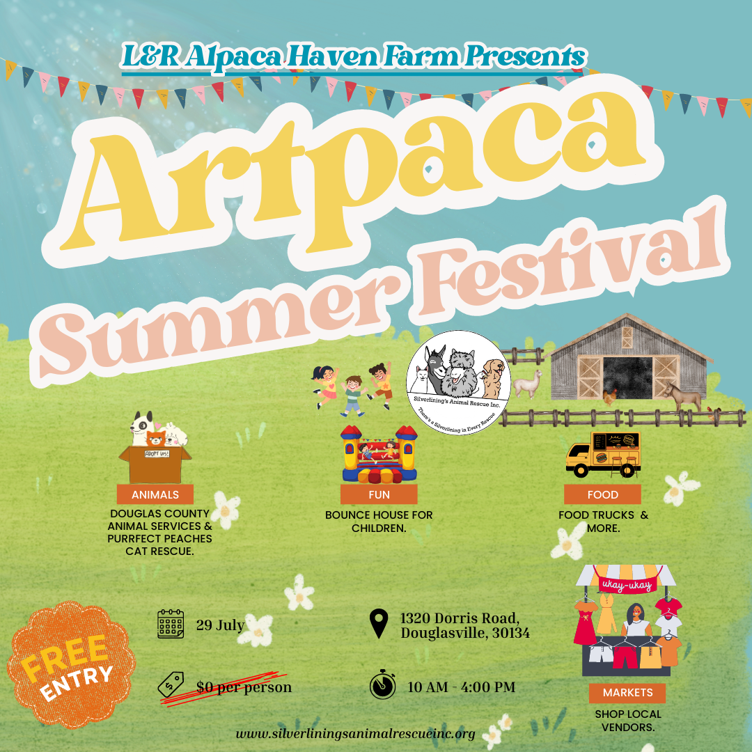 Artpaca Arts & Crafts Summer Festival