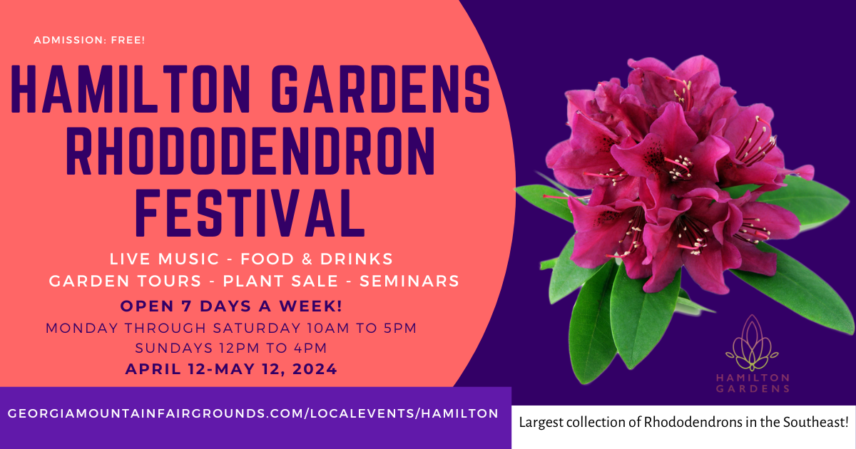 The Rhododendron Festival